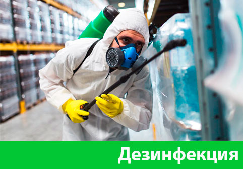 Дезинфекция в городе Владикавказ