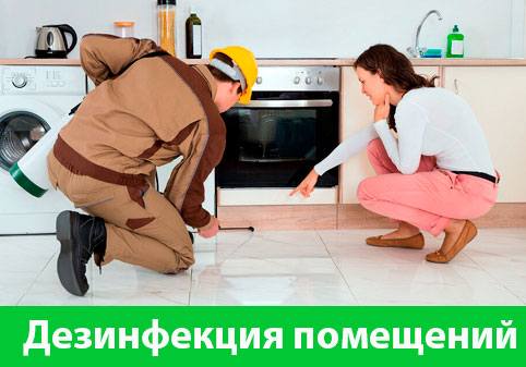 Дезинфекция офисов от коронавируса в городе Владикавказ