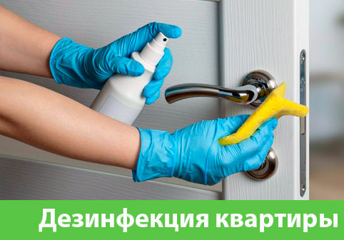 Дезинфекция квартиры в городе Владикавказ
