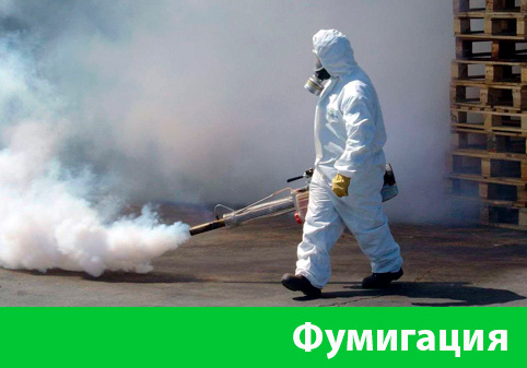 Фумигация в городе Владикавказ