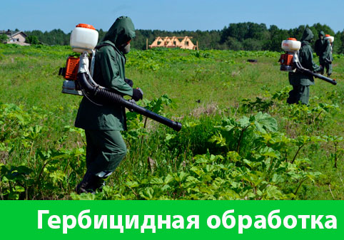Гербицидная обработка в городе Владикавказ