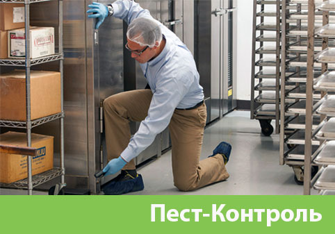 Пэст-Контроль в городе Владикавказ