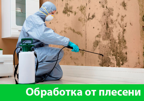 Обработка от плесени в городе Владикавказ