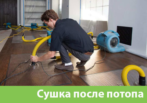 Сушка после потопа в городе Владикавказ