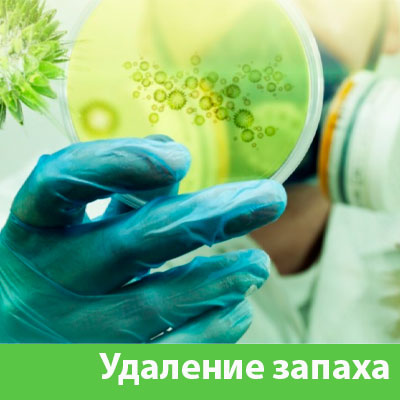 Удаление запахов в Владикавказе