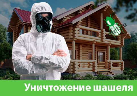 Уничтожение шашеля и личинок в Владикавказе