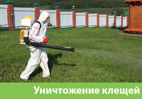 Уничтожение клещей в городе Владикавказ