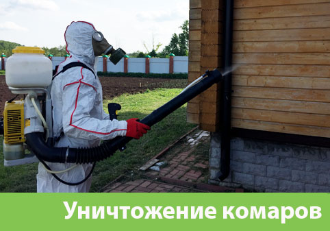 Уничтожение комаров в городе Владикавказ