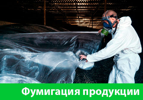 Фумигация продукции в городе Владикавказ